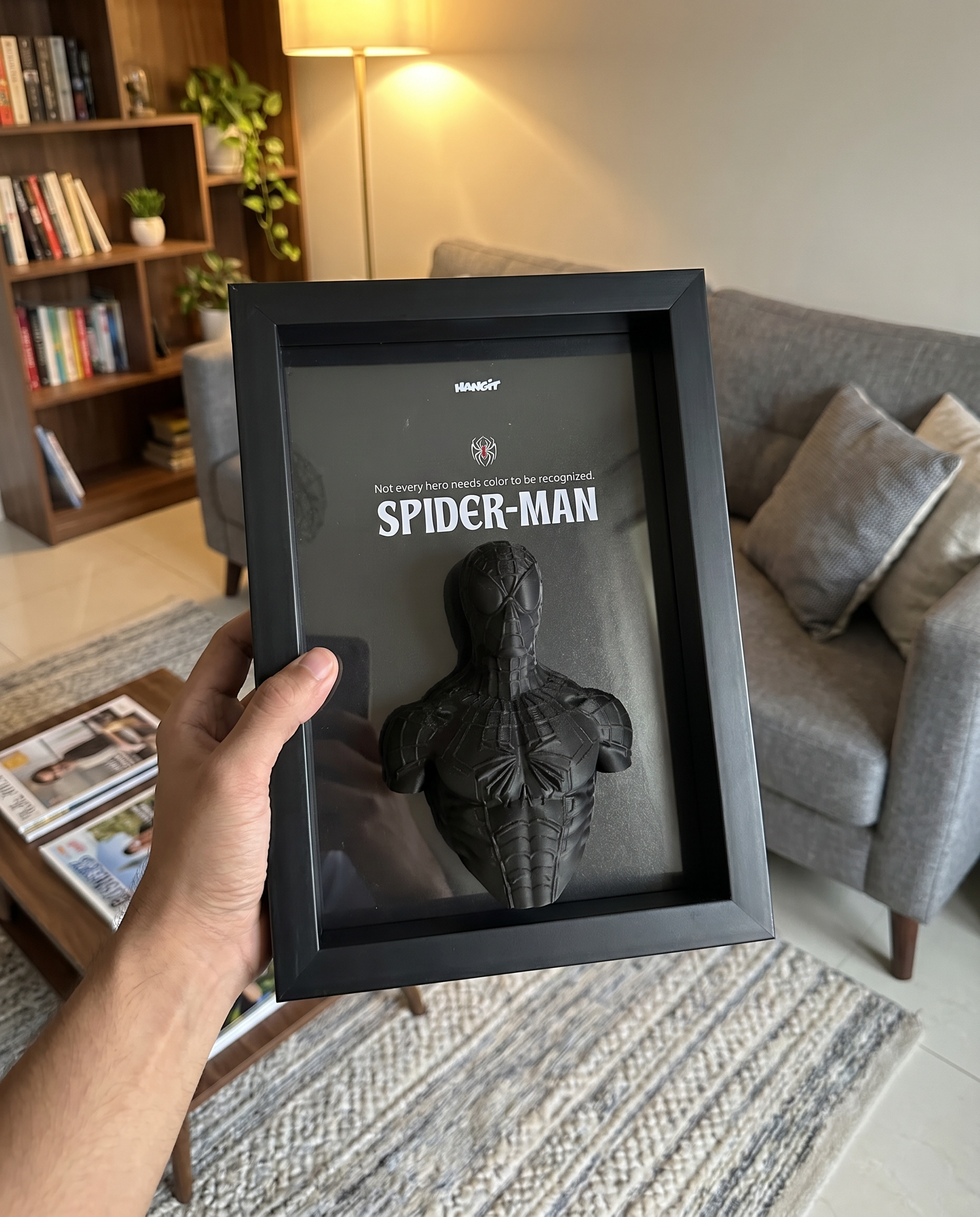 Spider-Man – Shadow Variant – Mega Frame